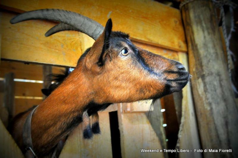 Agriturismo Slowcanda Cardella Zewnętrze zdjęcie